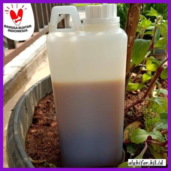 

MADU-MINUMAN- MADU ASLI/ MADU HUTAN LIAR JAMBI NETTO 1KG -ASLI-BUKAN-KAWE-KAWE-
