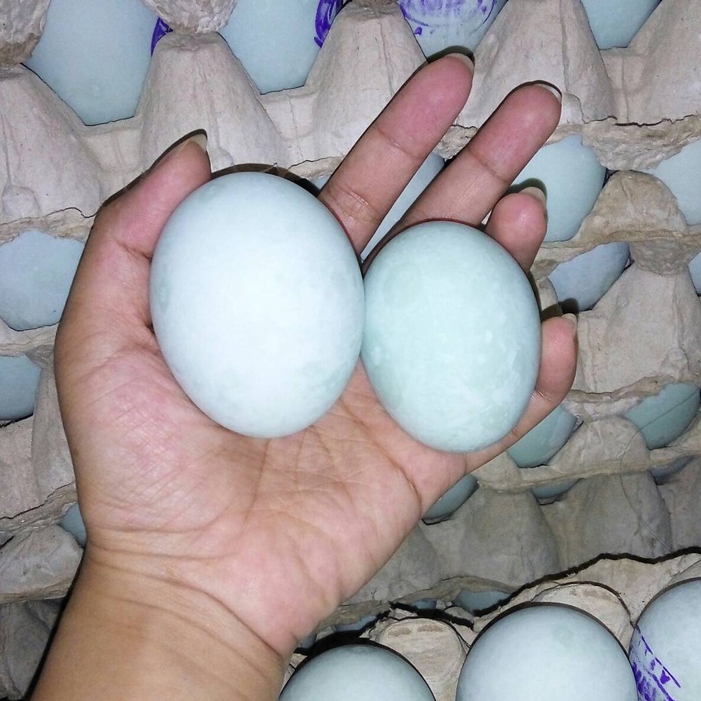 

TELUR ASIN UTUH MENTAH - TELUR ASIN MR