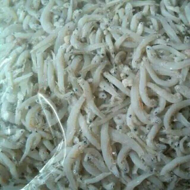 

teri nasi /teri medan