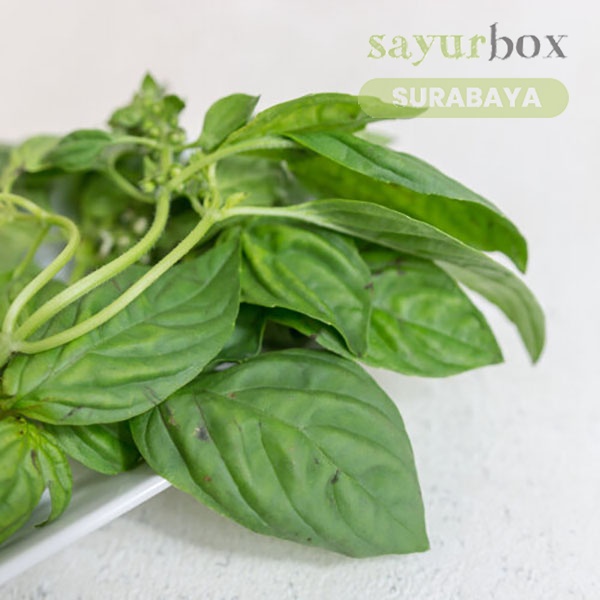 

Sayurbox Daun Kemangi Konvensional 50 gram
