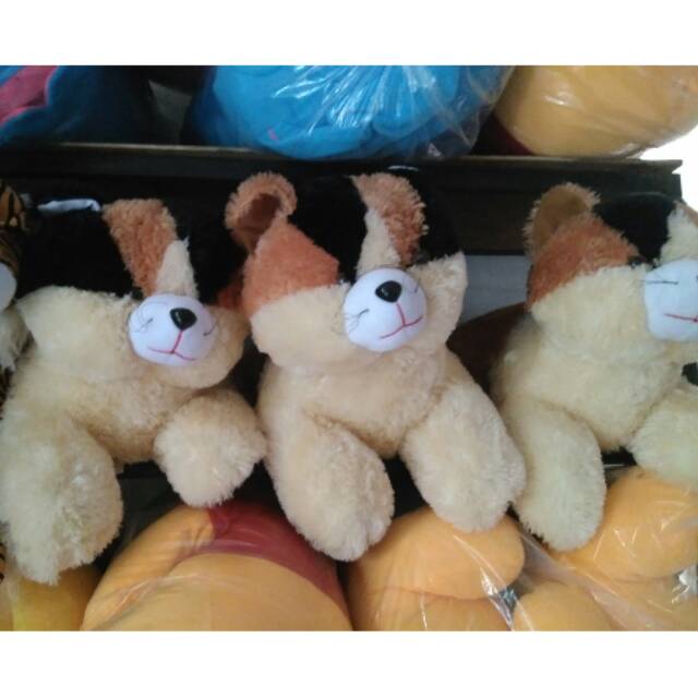 Boneka kucing jumbo