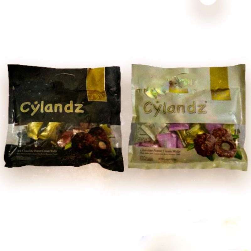

TYL CYLANDZ 250G ISI 20 PCS WAFER COKLAT DENGAN KRIM KACANG ENAK