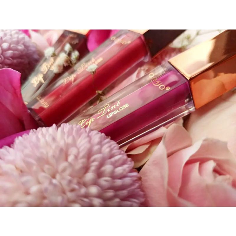 Oimio Lip Gloss
