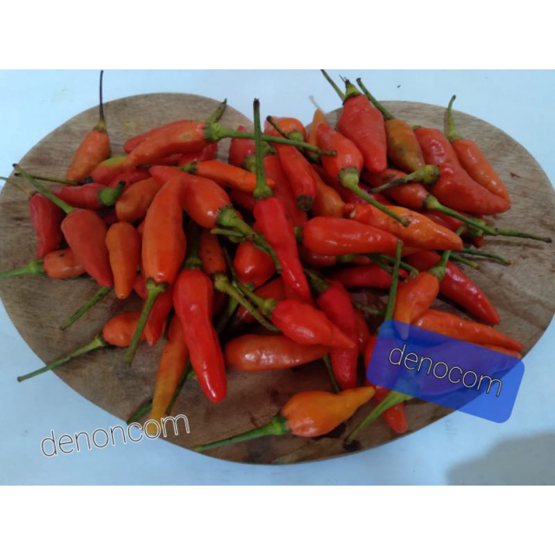 

Cabe setan