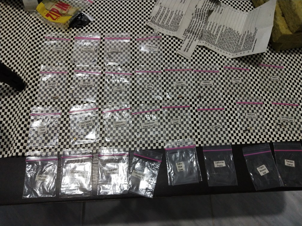 Um2/2 - Benih Biji Bibit Unggul Kemasan Seribuan Ecer Repack Wortel Mini Parisian Carrot Haira Seed