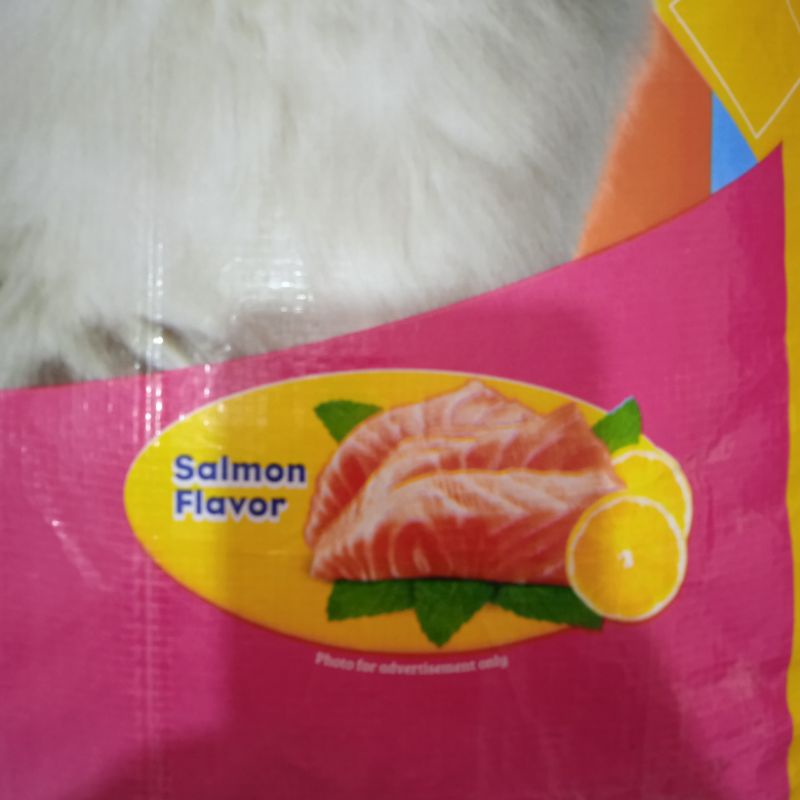 Makanan Kucing Dewasa Cleo Salmon 7 kg Adult Khusus Grab Gosend