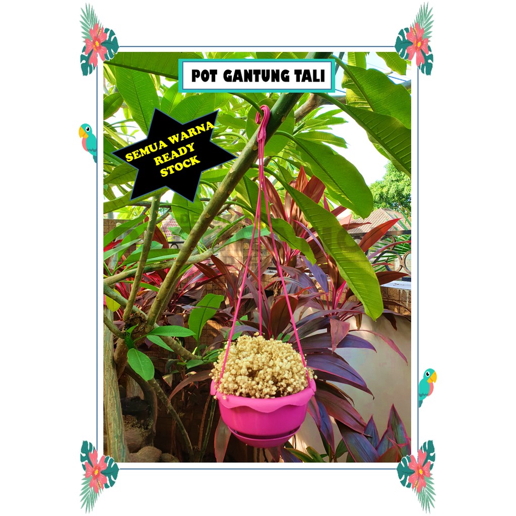 [MURAH] Pot Gantung Tali Pot Bunga Gantung Tali Pot Bunga Plastik Vas Bunga Plastik Cantik Murah