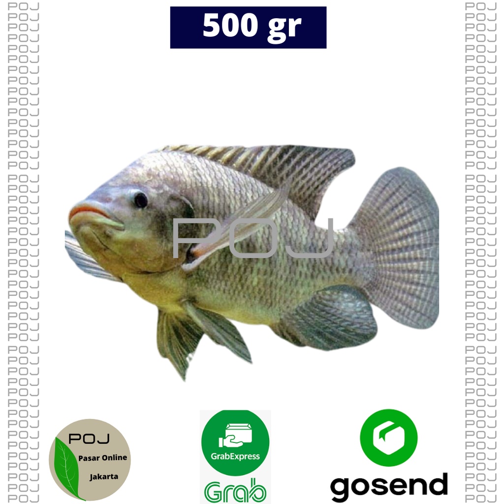 

Ikan Nila Segar 500 gr✓Ikan ✓Ikan Nila✓Ikan Nila Murah✓Ikan Nila Potong✓Kebutuhan Makan✓Memasak