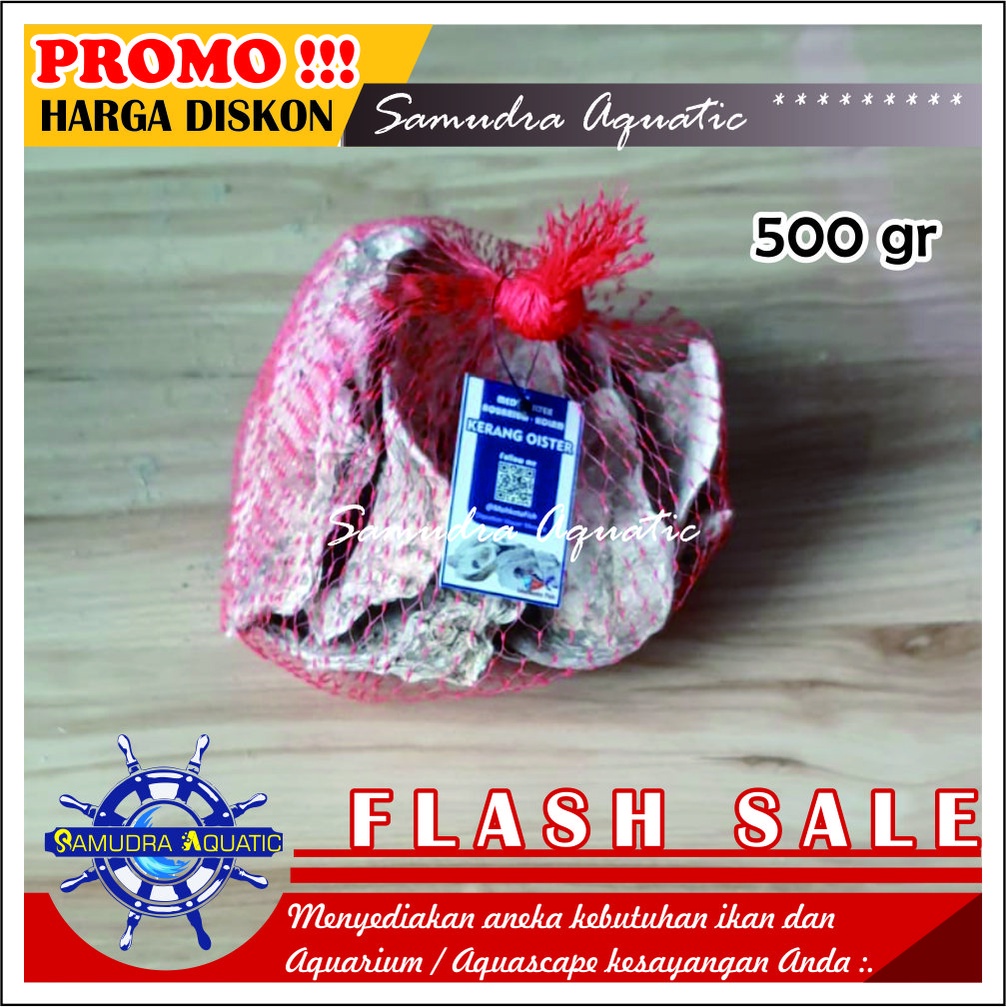 CANGKANG OISTER (500 gram), Kerang Oister Tiram Media Filter Aquarium Aquascape, Media Filter Kolam