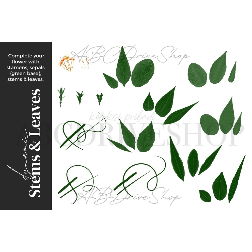 Procreate Brush - Pressed Flower Brushes for Procreate