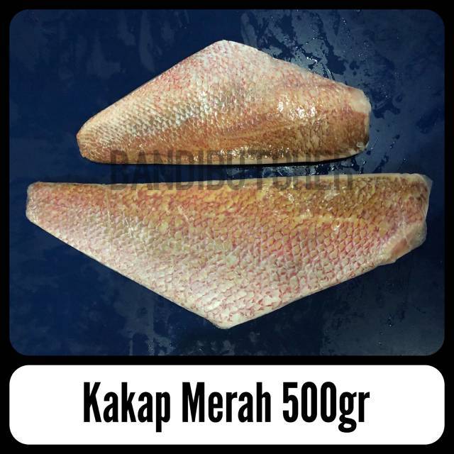 Fillet Kakap Merah / Ikan Kakap Merah Fillet Segar Size Super Murah Bandi Fish