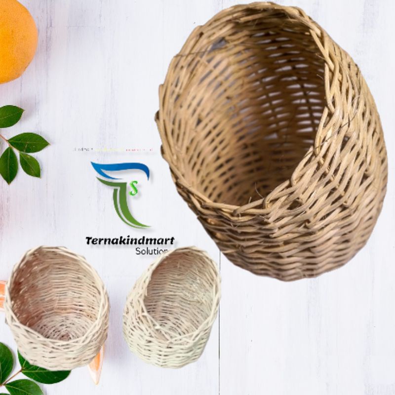 Sarang Burung Finch Gowok Rotan