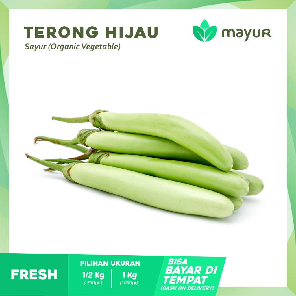

Terong Hijau Segar ( 500 gr | 1kg )