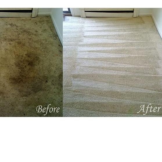 ♬ Pembersih Multi Guna Furniture Sofa Karpet Kasur Matras Sprei Kursi ✸