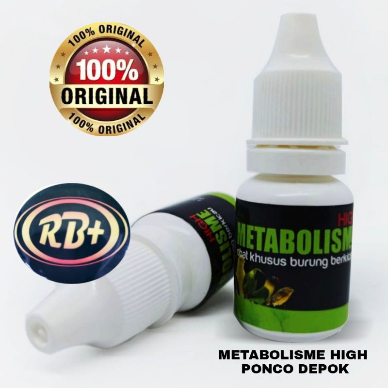 METABOLISME HIGH PONCO DEPOK