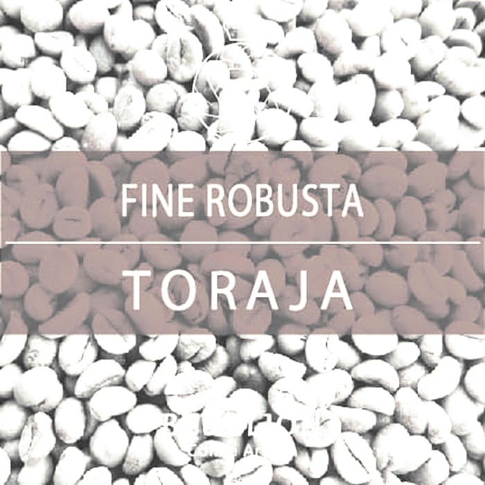 

Green Bean 1KG - Toraja (Robusta) - kkp1306