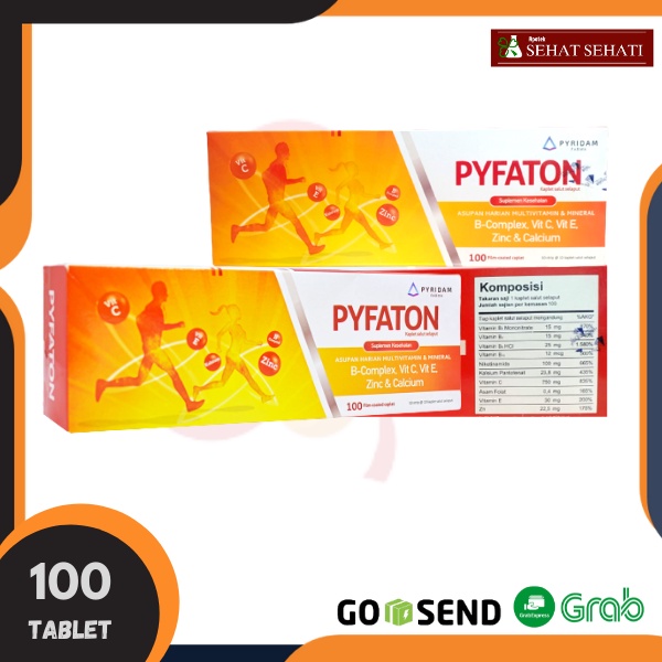 Pyfaton Multivitamin Box - 100 Kaplet