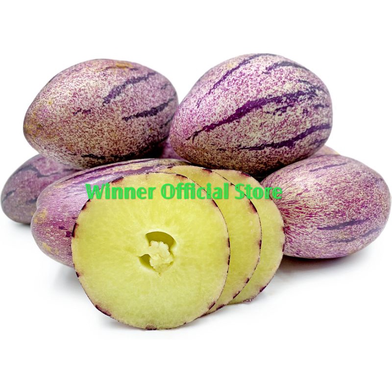 Biji purple buah 10 Manfaat