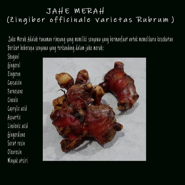 

Jahe merah (per kg)