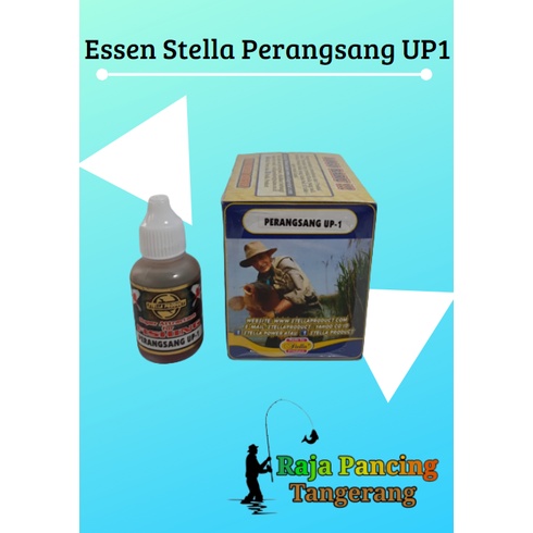 Essen Stella PERANGSANG UP1