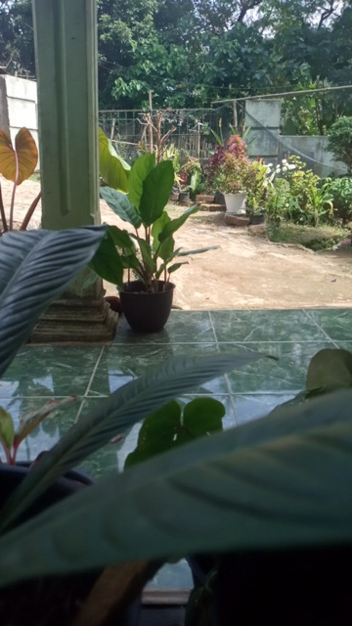 Standing Pouch 10x17 / Plastik Klip Ziplock Kemasan Berdiri Bening