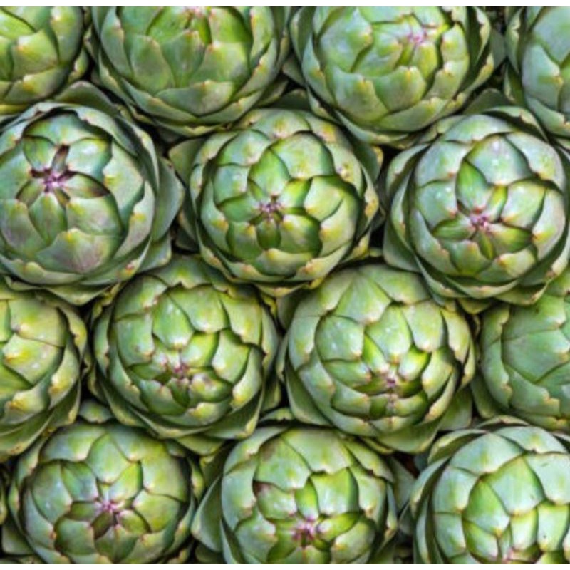 

Artichoke Seed Australia Asli Premium / Pics