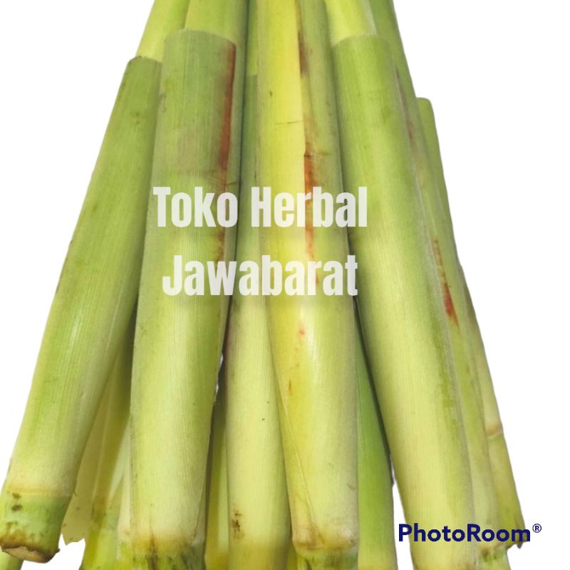 

sayuran terubuk segar/turubuk/terubus/bunga tebu 1 kg