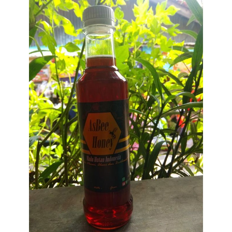 

madu hutan akasia mangium 470 gram asbee honey