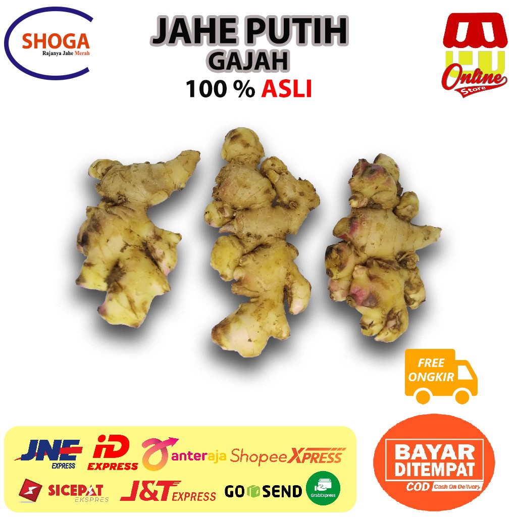 

Jahe Gajah | Jahe Emprit 1kg | Jahe Putih | jahe merah | jahe bubuk jahe instan jahe wangi herbal