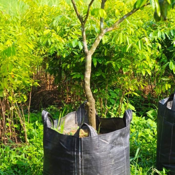 RPM Planterbag Hitam Besar UK 65x65 (Kuat 200liter) - Planter Bag