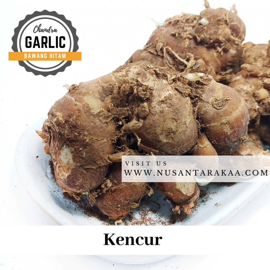 

Best Seller! kencur 1 kg