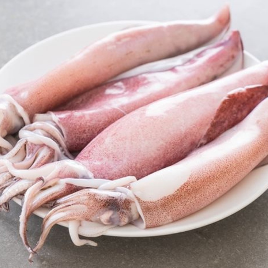 

Cumi Basah Cumi Segar 500 gr Seafood Segar Cikarang Pasar Murah Cikarang