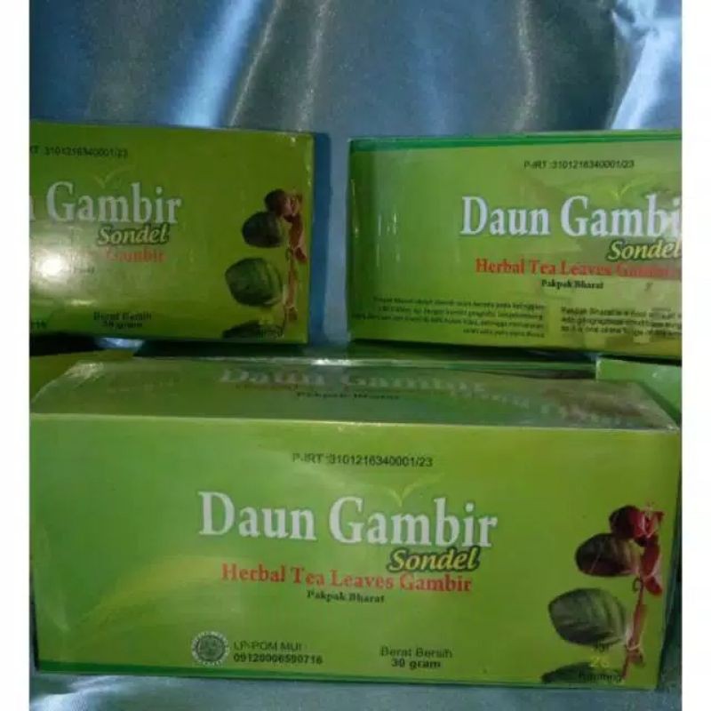 

Teh daun gambir sondel uncaria gambier roxb