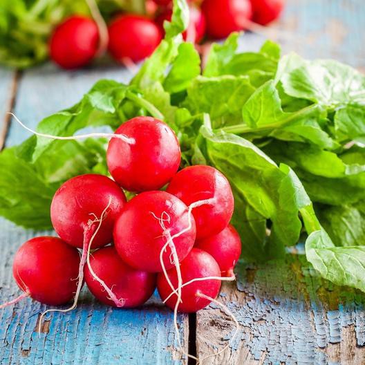 Benih Bibit Biji - Radish Scarlet Globe (Raphanus sativus) Lobak Bulat Merah Seeds - IMPORT