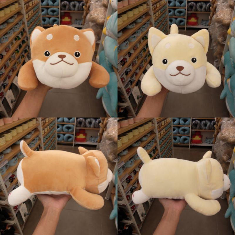 lying shiba series plush toy / boneka miniso