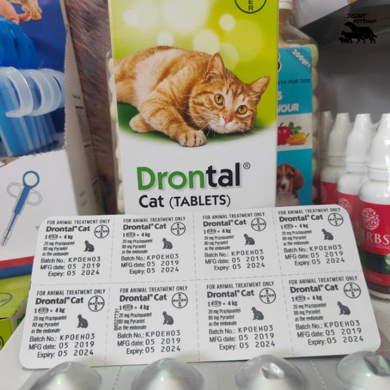 Drontal Cat Obat Cacing Kucing 1 Tablet