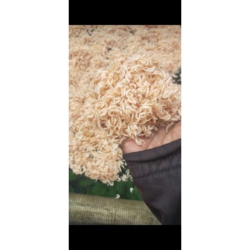 

Rebon asin
