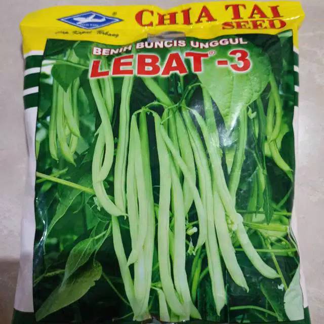 BENIH BUNCIS LEBAT -3