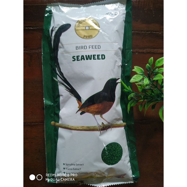 Goldcoin seaweed hijau 450 gram pakan burung murai kacer