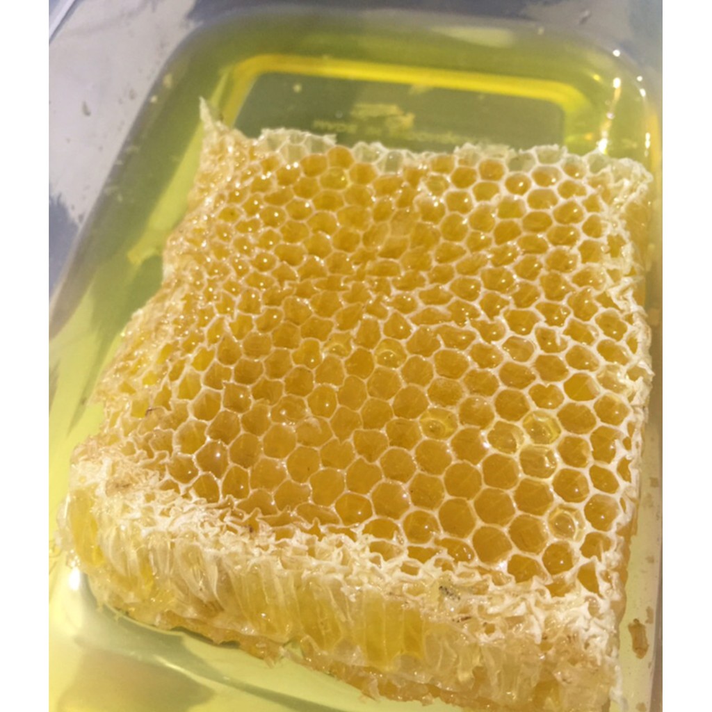 

MADU SARANG 500 GRAM/MADU ASLI PLUS SARANG 500 GRAM