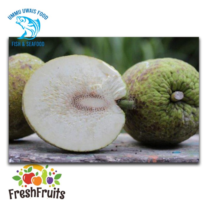 

Buah Sukun Berkualitas - 1 Buah