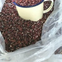 

Kacang Merah lokal 250gr