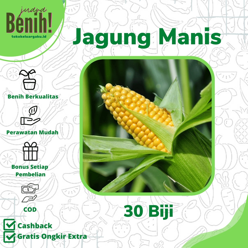 Jual Benih Jagung Manis Super Unggul Baruna 30 Biji Bibit Sayuran ...