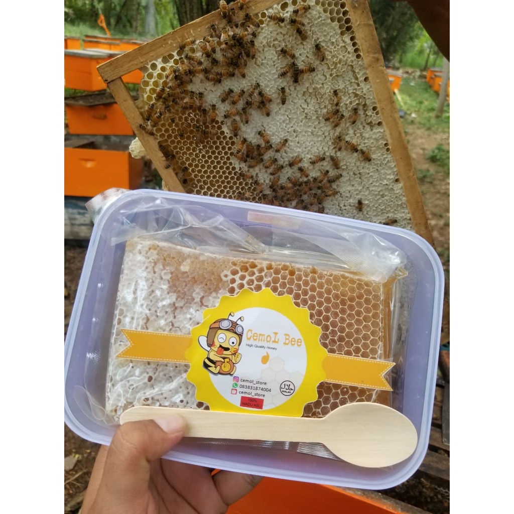 

Sarang Madu 500 gram (asli dari peternak)