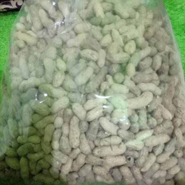 

Kacang kulit sangrai