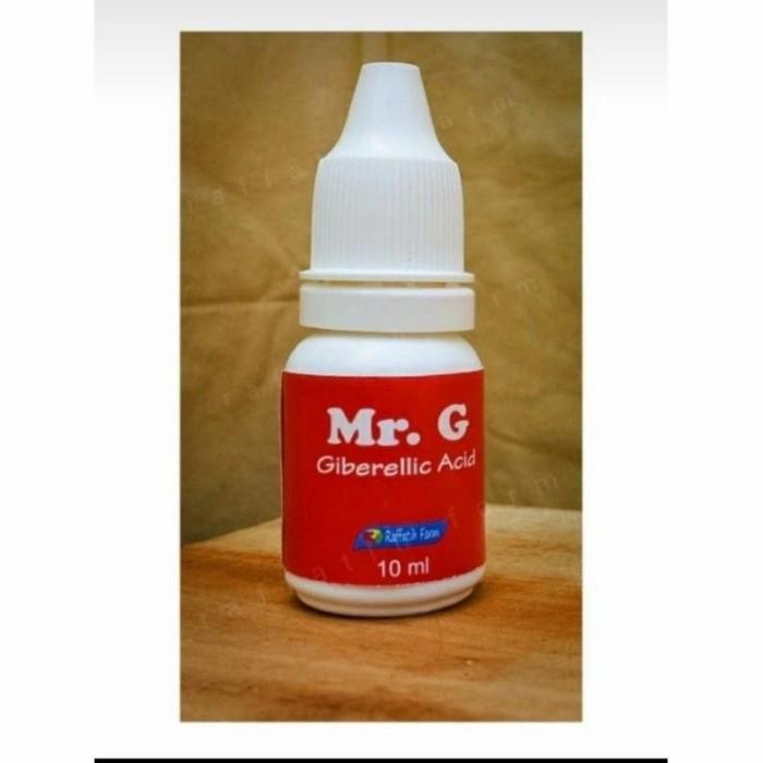 Ready MR. G BY RAFFATIH FARM ORIGINAL MR G KANG WARSO GA 3 ZPT ANGGUR GA3 Kualitas Terjamin