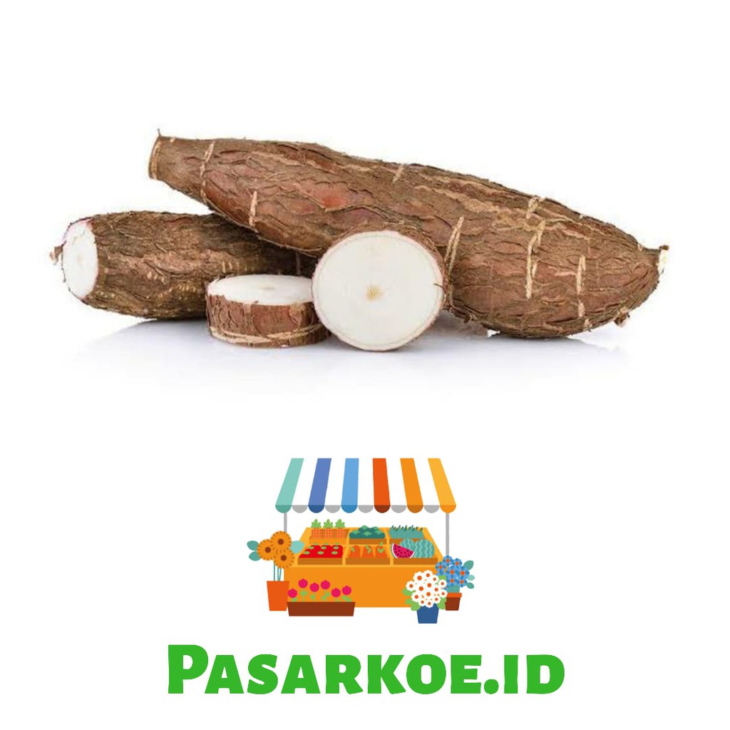

SINGKONG / CASSAVA ROOT 250 GRAM