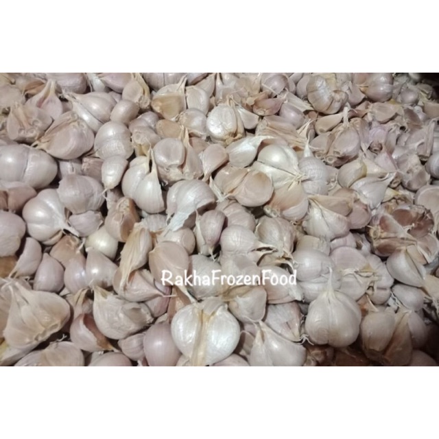 

Bawang Putih Kating