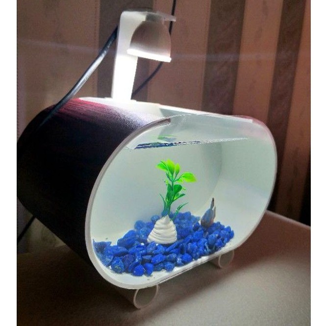 AQUARIUM MINI IKAN CUPANG AKRILIK PIPA PVC