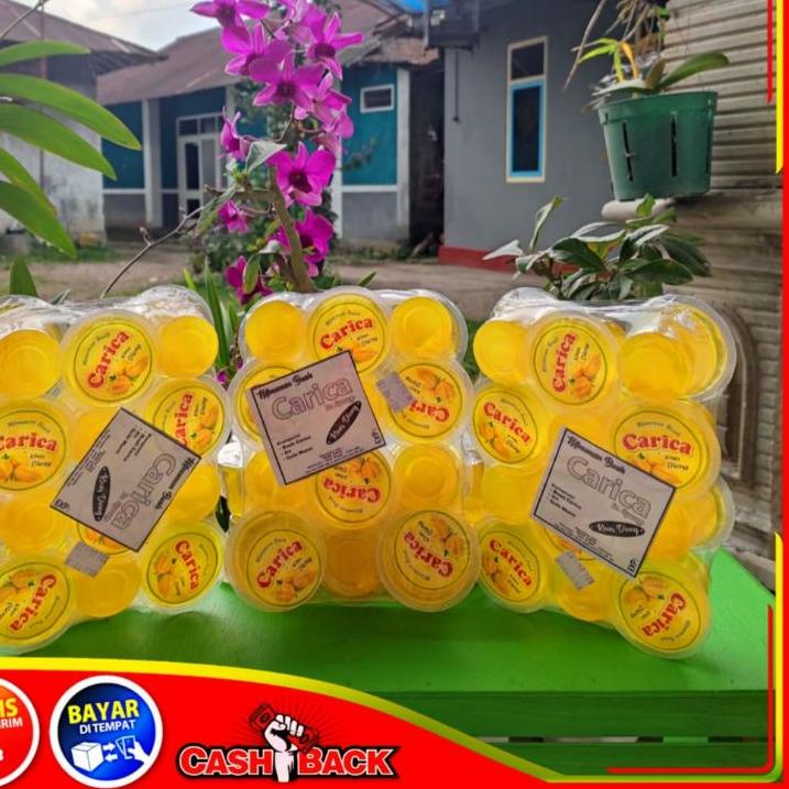 

Viral SIRUP/ MANISAN CARICA MINI KHAS DIENG OLEH OLEH WONOSOBO GULA MURNI DAN TANPA PENGAWET #DISKON